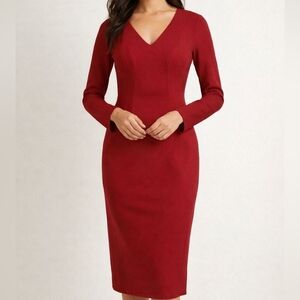Banana Republic Elegant Scarlet Long Sleeve Dress SZ 4 NWT